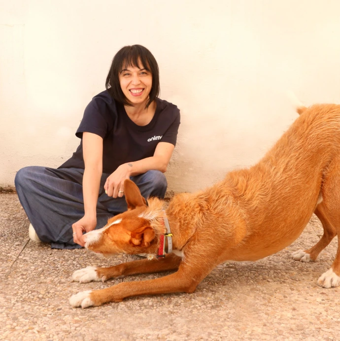 Servicio fotográfico con perro