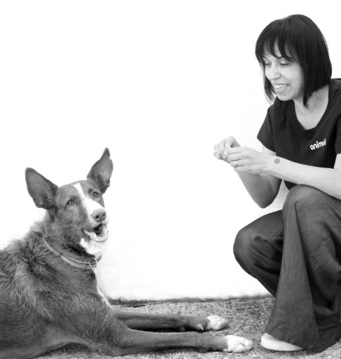Fotografía profesional con perro
