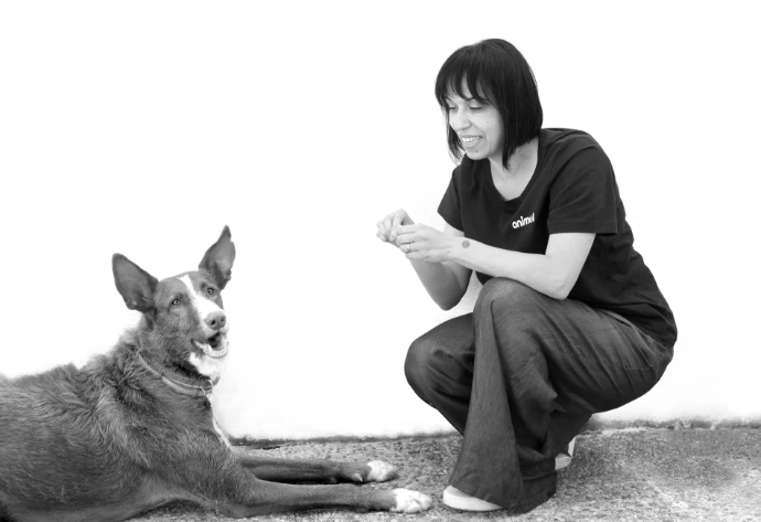 Animel guarderia canina en Madrid