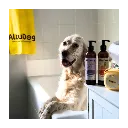 champu-natural-universal-para-perros-gatos (1).webp