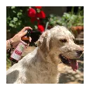 locion-antiparasitaria-repelente-para-perros-gatos (2).webp