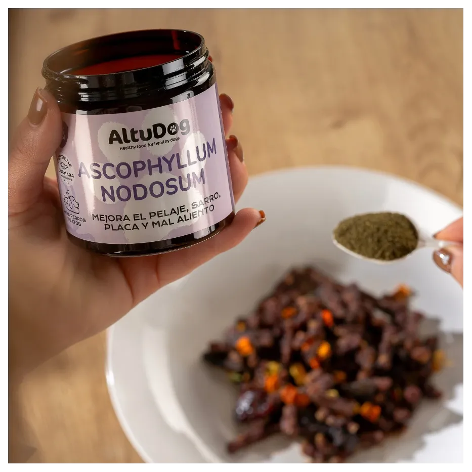 algas-marinas-ascophyllum-nodosum-200g-para-perros (1).webp