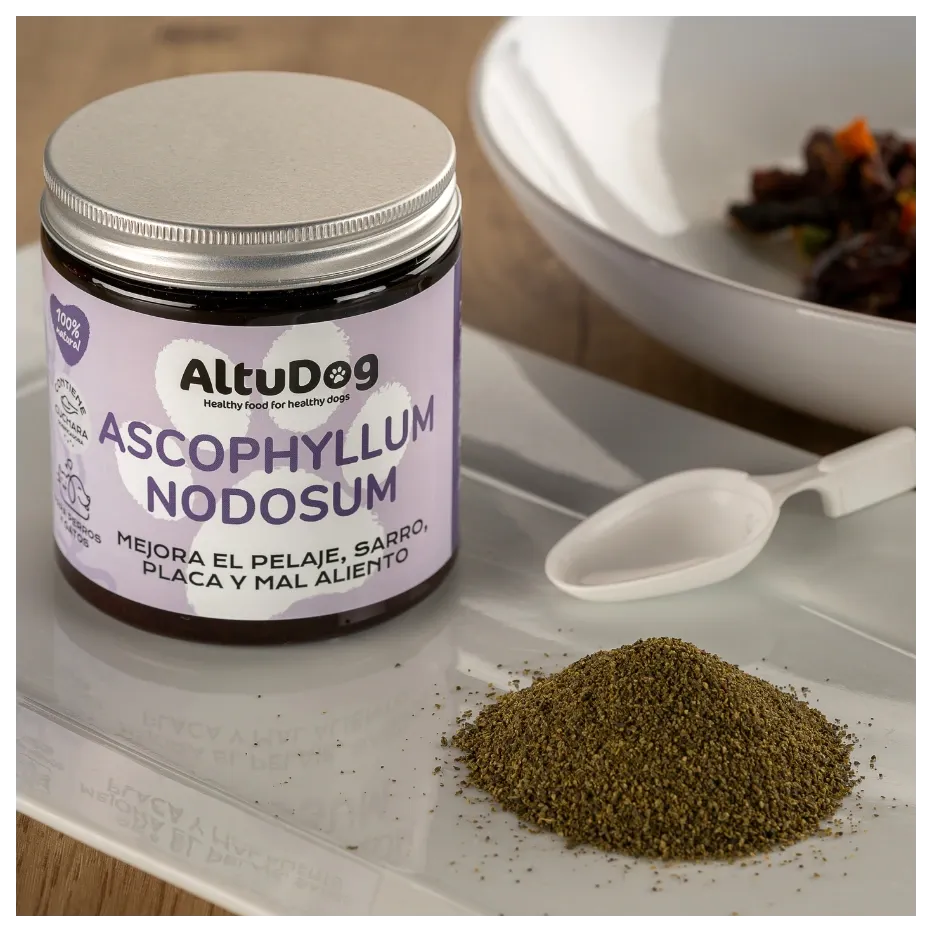 algas-marinas-ascophyllum-nodosum-200g-para-perros (2).webp