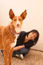 Giovanna_Ficarazzi_017-reto-web.webp