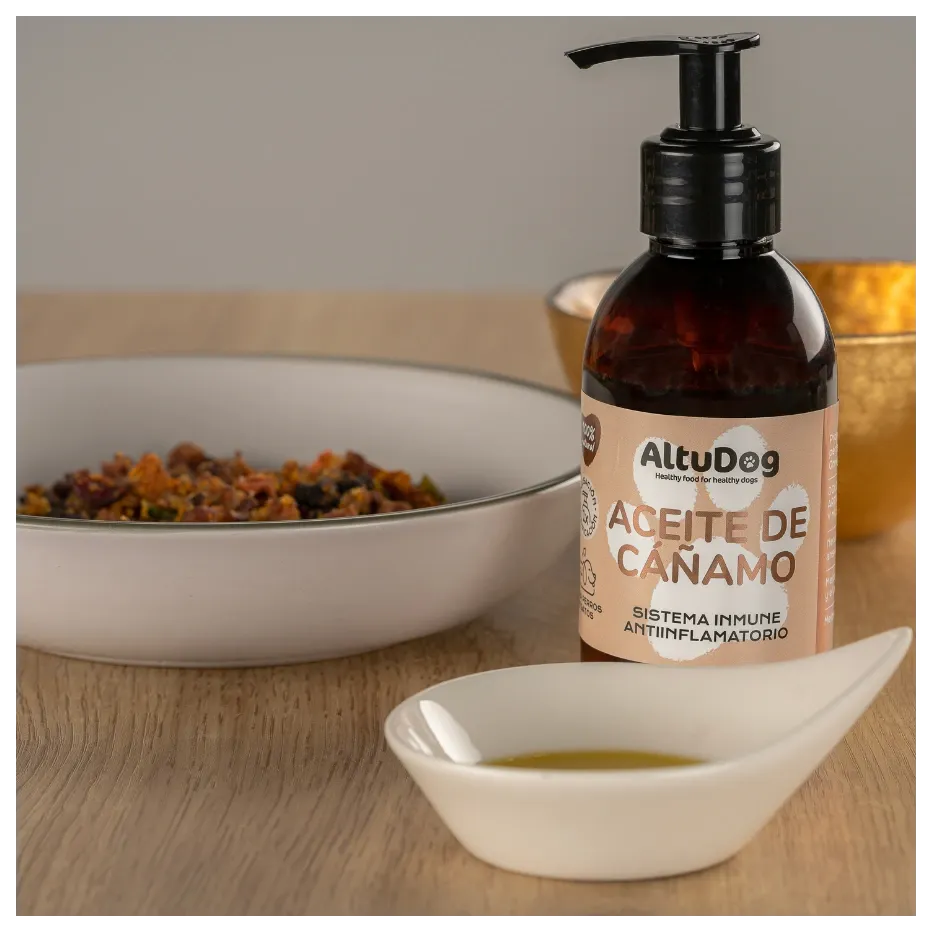 aceite-de-canamo-para-perros-3.webp