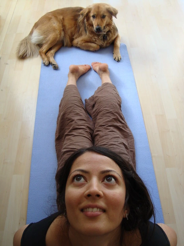 Bono mensual - 4 Clases de Doga, Yoga con perros