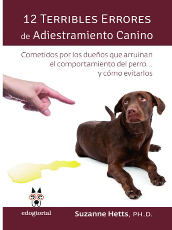 12 terribles errores de adiestramiento canino